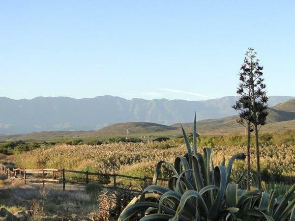 Апартаменты Tanagra Wine & Guestfarm Макгрегор Экстерьер фото